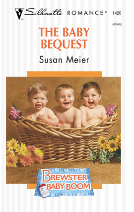 Cover image for The Baby Bequest